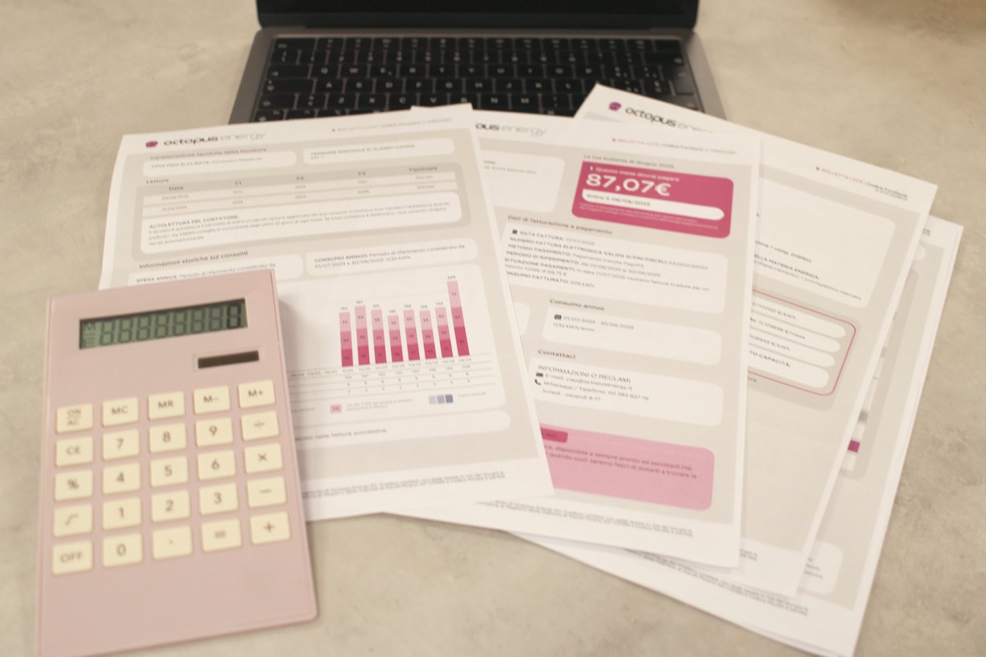 e-Defter ekranı